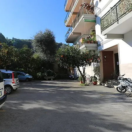 Sunny Flat * סורנטו